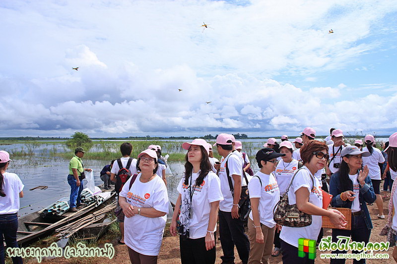 nong-gud-ting05