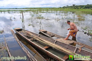มาชมนก หนองกุดทิง บึงกาฬ พื้นที่ชุ่มน้ำแดนอีสาน ล่องเรือชมนก ดูธรรมชาติ