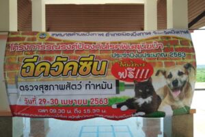 เทศบาลตำบลบึงกาฬ ร่วมกับสำนักงานปศุสัตว์จังหวัดบึงกาฬ จัดทำโครงการรณรงค์ป้องกันโรคพิษสุนัขบ้า ระหว่างวันที่ 29 – 30 เมษายนนี้