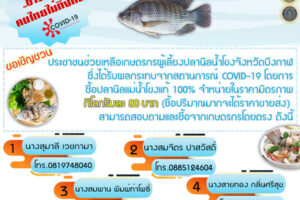 เชิญชวนพี่น้องชาวในบึงกาฬ ซื้อปลานิลคุณภาพ ที่เลี้ยงในกระชังในแม่น้ำโขงแท้ 100 เปอร์เซ็นต์