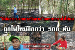 บึงกาฬ-บึงโขงหลง 