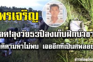 พรเจริญ สลด!ลุงวัย53ลงเก็บฝักบัวขายญาติตามหาไม่พบ เจออีกทีเป็นศพที่หนองน้ำ