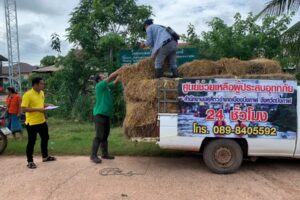 ปศุสัตว์จังหวัดบึงกาฬ ลงพื้นที่ให้ความช่วยเหลือเกษตรกรผู้เลี้ยงสัตว์ที่ได้รับผลกระทบจากอุทกภัย เนื่องจากฝนที่ตกลงมาอย่างต่อเนื่องตลอด 1 สัปดาห์