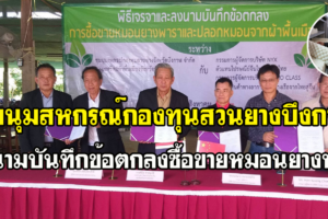 บึงกาฬ ชุมนุมสหกรณ์กองทุนสวนยางลงนามข้อตกลงซื้อขายหมอนยางพารา