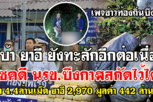 บึงกาฬ นรข.สกัดรถขนยาบ้า 4,400,000 เม็ดยาอี 2,970 มูลค่า 442 ล้านบาท