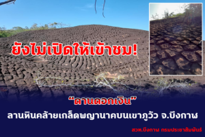 หัวหน้าเขตรักษาพันธุ์สัตว์ป่าภูวัว ชี้แจง ยังไม่เปิดให้เข้าชม “ดานดอกเงิน” สถานที่ทางธรรมชาติบนเขาภูวัว ซึ่งปรากฏลายหินคล้ายเกล็ดพญานาคขนาดใหญ่ เพราะอาจเป็นการรบกวนโขลงช้างป่าบริเวณนั้น