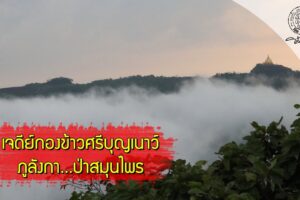ส่องโลก ตอน เปิดป่าภูลังกา 5 (เจดีย์กองข้าวศรีบุญเนาว์)