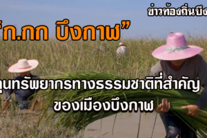 “ก.กก บึงกาฬ”ทุนทรัพยากรทางธรรมชาติที่สำคัญและมีมากของเมืองบึงกาฬ