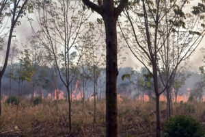 ผวจ.บึงกาฬ มอบนโยบายป้องกันไฟป่า หมอกควัน และฝุ่นละอองขนาดเล็ก (PM 2.5) พื้นที่ป่าและบริเวณใกล้เคียงเจ้าหน้าที่และเครือข่ายภาคประชาชน