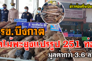 บึงกาฬ เจ้าหน้าที่ยึดไม้พะยูง 251 ท่อนเหลี่ยม พร้อม เรือเหล็กเครื่องยนต์ มูลค่ากว่า 3.6 ล้าน