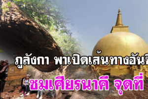 อุทยานแห่งชาติภูลังกาพาเปิดเส้นทางอันซีน ชมเศียรนาคี จุดที่ 9