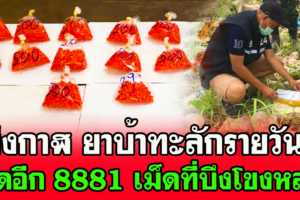 บึงกาฬ ยาบ้าทะลักเจ้าหน้าที่ยึดรายวันล่าสุดที่บึงโขงหลงยึดอีก8881 เม็ด