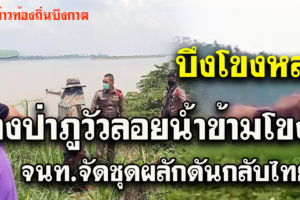 ช้างป่าภูวัวลอยน้ำข้ามโขงจนท.จัดชุดผลักดันหากกลับมาฝั่งไทย
