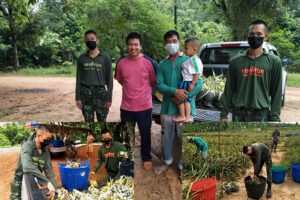 บึงกาฬ สห.ร.13 ช่วยเกษตรกรเก็บสับปะรดและรับซื้อไปเลี้ยงกำลังพล