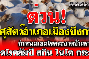 สำนักงานปศุสัตว์อำเภอเมืองกาฬ กำหนดเขตโรคระบาดชั่วคราว ชนิดโรคลัมปี สกิน (Lumpy Skin disease) ในโค กระบือ