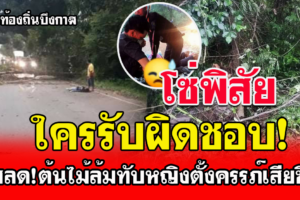 บึงกาฬ สลด!หญิงตั้งครรภ์กลับบ้านถูกต้นไม้ข้างล้มทับเสียชีวิต ใครรับผิดชอบ!