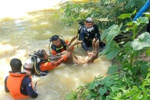 บึงกาฬ แม่วัวพันธุ์ชาร์โรเล่ส์ร้องหาลูกระงมหลังติดโรคลัมปีสกินจมน้ำดับ