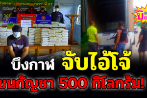 บึงกาฬ ทหารพรานร่วมกับกองปราบจับกัญชา 500 กิโลยึดรถ 2 คันผู้ต้องหา 2 คน