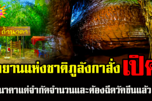 บึงกาฬ อุทยานแห่งชาติภูลังกาสั่งเปิดถ้ำนาคา จำกัดจำนวนเข้า-ต้องฉีดวัคซีนแล้ว