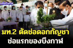 มท.2​ ตัดช่อดอกกัญชา​ช่อแรกของบึงกาฬ​ พร้อมย้ำ​ หากแก้กฎหมายเพื่อเปิดเสรีกัญชาได้แล้ว ประชาชนจะได้ประโยชน์มากขึ้น