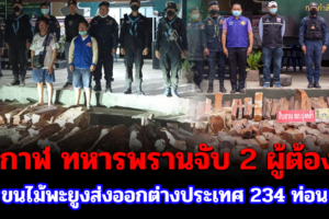 บึงกาฬ ทหารพรานจับ 2 ผู้ต้องหาขนไม้พะยูงส่งออกต่างประเทศ 234 ท่อน