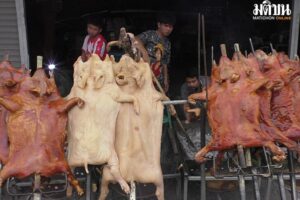 บึงกาฬหมูหันพุ่ง 2,500 บาท ยังขายดี แม้ราคาสูง ยอดสั่งจองทะลุ 50 ตัว