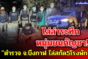 บึงกาฬ ตำรวจ 5 สภ.ไล่ล่าจับพ่อค้าขายผักรับจ้าง 50,000 ขนกัญชาหนักครึ่งตัน
