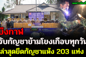 นรข.บึงกาฬ ยึดกัญชาแห้ง 203 แท่ง ผู้ต้องหา 2 คนวิ่งหลบหนีไปได้