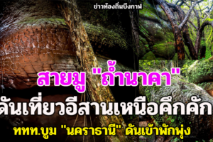 สายมู 
