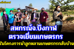 สหกรณ์จ.บึงกาฬ  ตรวจเยี่ยมเกษตรกรในโครงการนำลูกหลานเกษตรกรกลับบ้าน