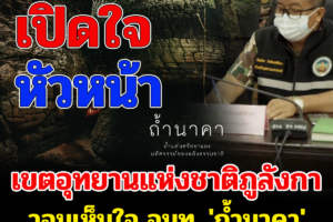 เปิดใจหัวหน้าเขตอุทยานแห่งชาติภูลังกา วอนเห็นใจ จนท. 'ถ้ำนาคา' กดดันจนร้องไห้