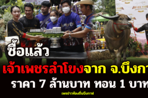 ทาบทามมานาน ฟาร์มควายบิ๊กไอซ์พิษณุโลกชนะใจ ได้ ‘เพชรลำโขง’ ไปอยู่ด้วย ค่าตัวเกือบ 7 ล้าน