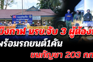 บึงกาฬ นรข.จับ 3 ผู้ต้องหา รถยนต์ 1 กัญชา 203 กก.