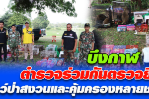 บึงกาฬ ตำรวจร่วมกันตรวจยึดสัตว์ป่าสงวนและคุ้มครองหลายชนิดจำนวนมาก